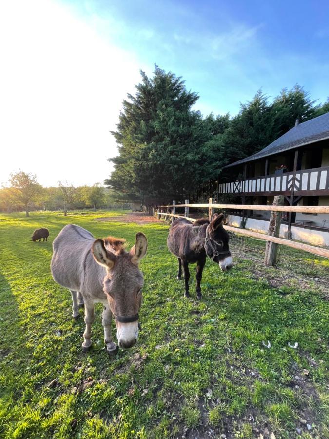 ホテル Domaine De Geffosse Pont-Évêque エクステリア 写真