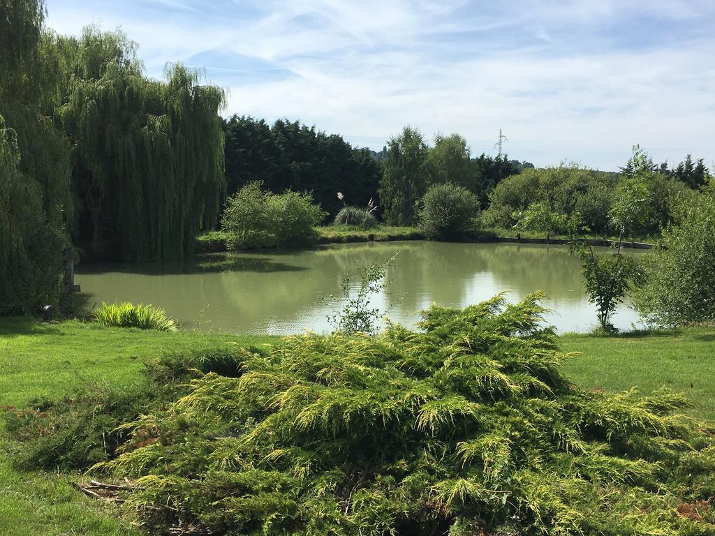 ホテル Domaine De Geffosse Pont-Évêque エクステリア 写真